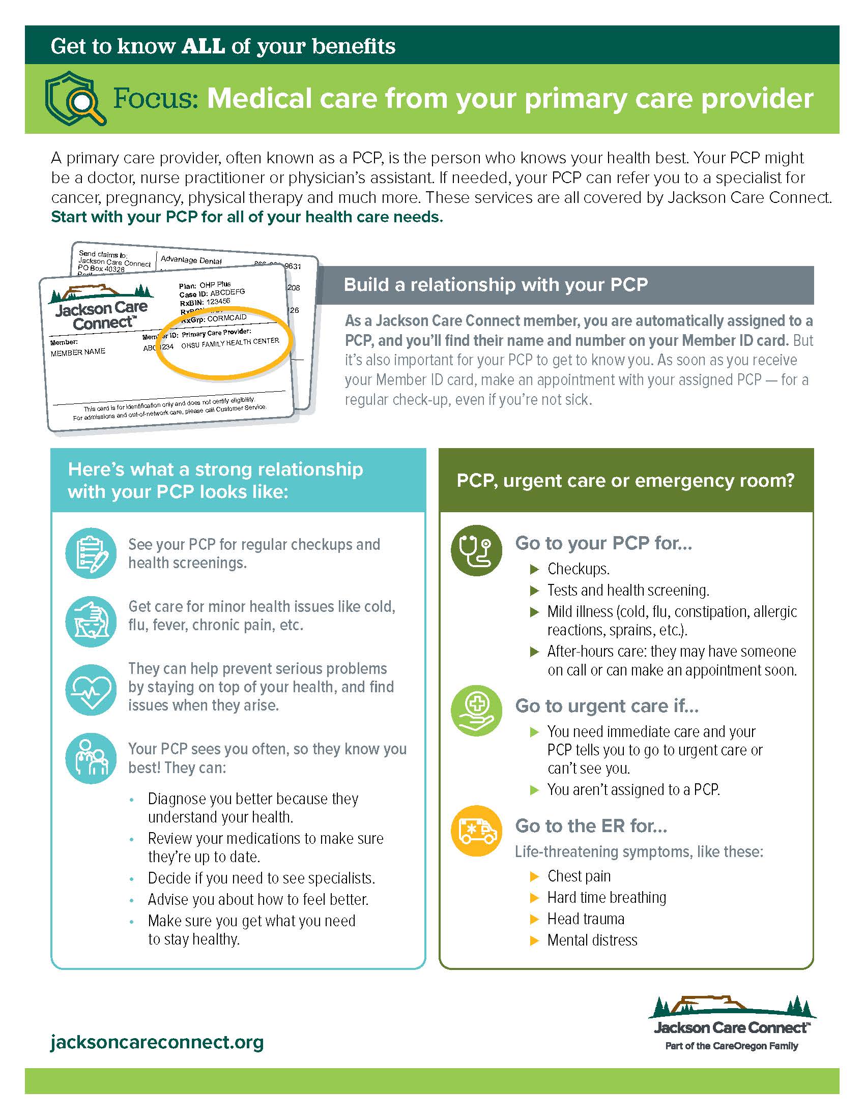 Physical Health Explainer Handout Cover