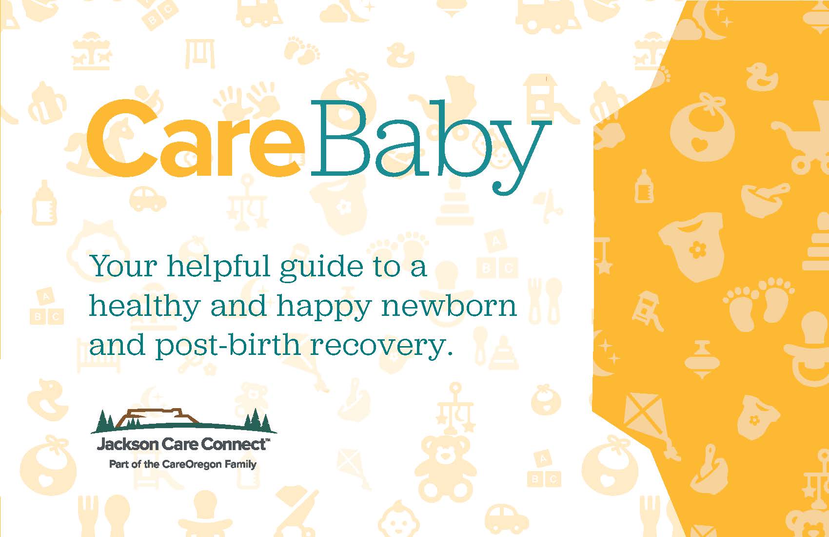 CareBaby newborn booklet cover which reads 